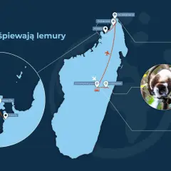 Mapa pokazuje, gdzie leży Madagaskar, z zaznaczonymi trasami podróży i zdjęciami lemurów, plaż i budynków.