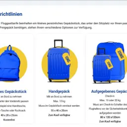Ryanair wymiary bagażu: mały bagaż podręczny (40x20x25cm), bagaż podręczny (55x40x20cm, do 10kg) i bagaż rejestrowany (do 20kg).