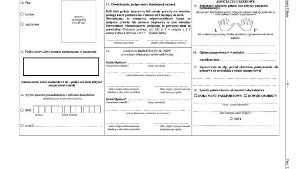 Formularz paszportowy. Sekcja 18 pyta o sposób potwierdzenia tożsamości i obywatelstwa, czy do rzymu potrzebny jest paszport, czy dowód osobisty.