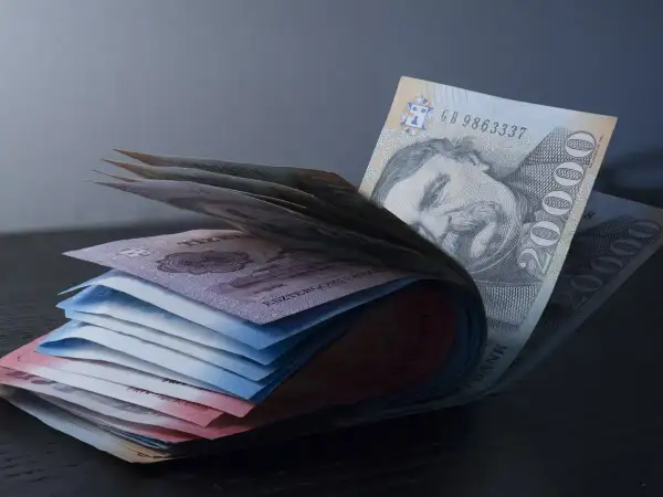 Stos banknotów, w tym 20 000 forintów, pokazuje, jaka waluta na Węgrzech jest w obiegu.